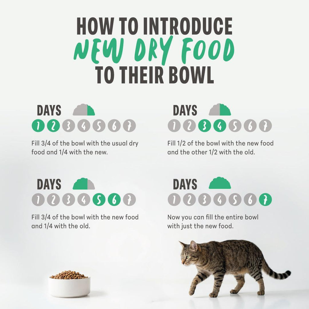 Schesir Sterilised Ham monoprotein dry cat food 1.5kg official product image 4