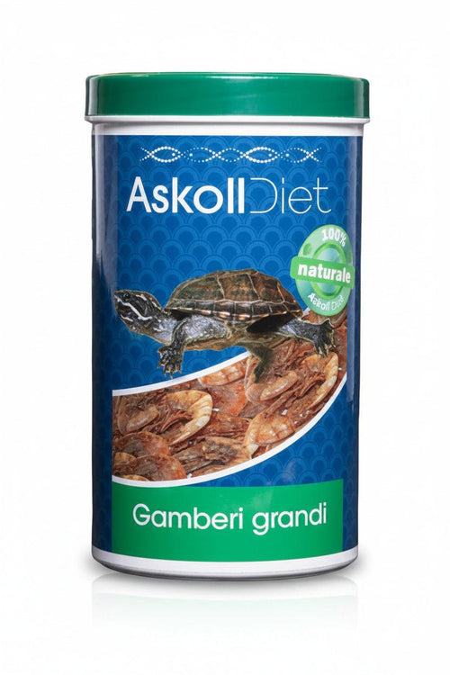 A cylindrical container of Askoll Diet 'Gamberi grandi' turtle food, featuring a blue label with a green lid and a picture of a turtle.