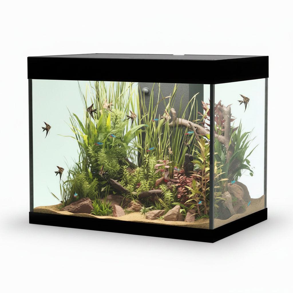 A rectangular glass aquarium with a black frame and lid, filled with green aquatic plants, sand substrate, driftwood, and several small fish, shown on a plain white background.