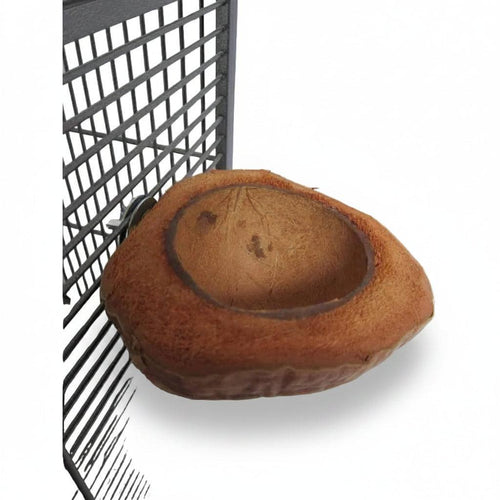 Back Zoo Nature Bird & Parrot Coconut Feeding Dish | dPet.mt
