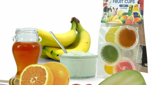 Back Zoo Nature Fruit Cups ( Jelly Pods ) Mix 6 pcs