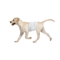 Large white disposable male dog diaper wrap worn by a yellow Labrador retriever for leak-proof protection.
