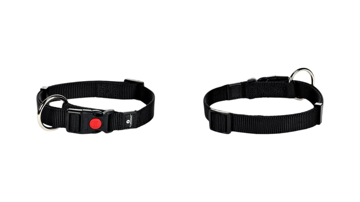 Dog Collar Ziggi Black - 30cm/45cmx15mm - Code 5363634