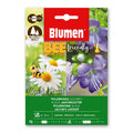 Blumen Blue Jacob’s Ladder Seeds – Bee-Friendly Polemonium