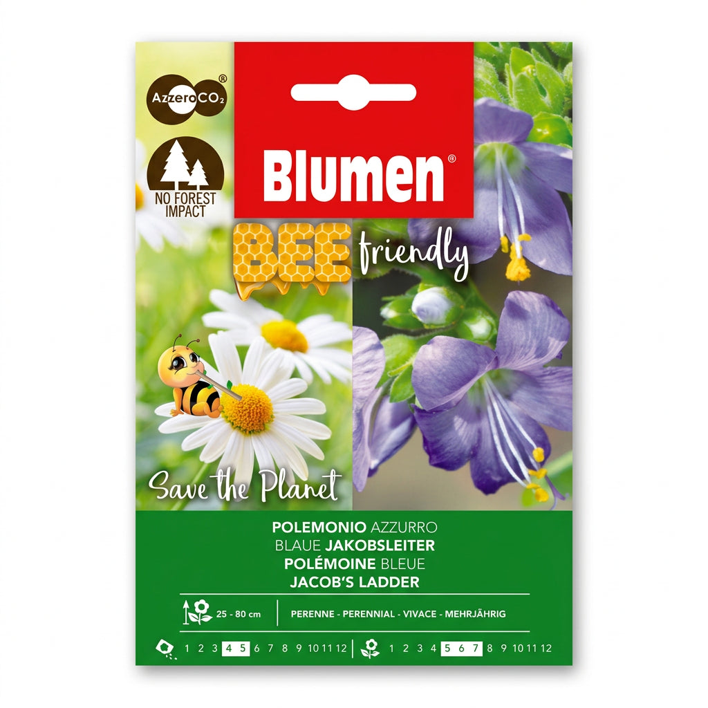 Blumen Blue Jacob’s Ladder Seeds – Bee-Friendly Polemonium