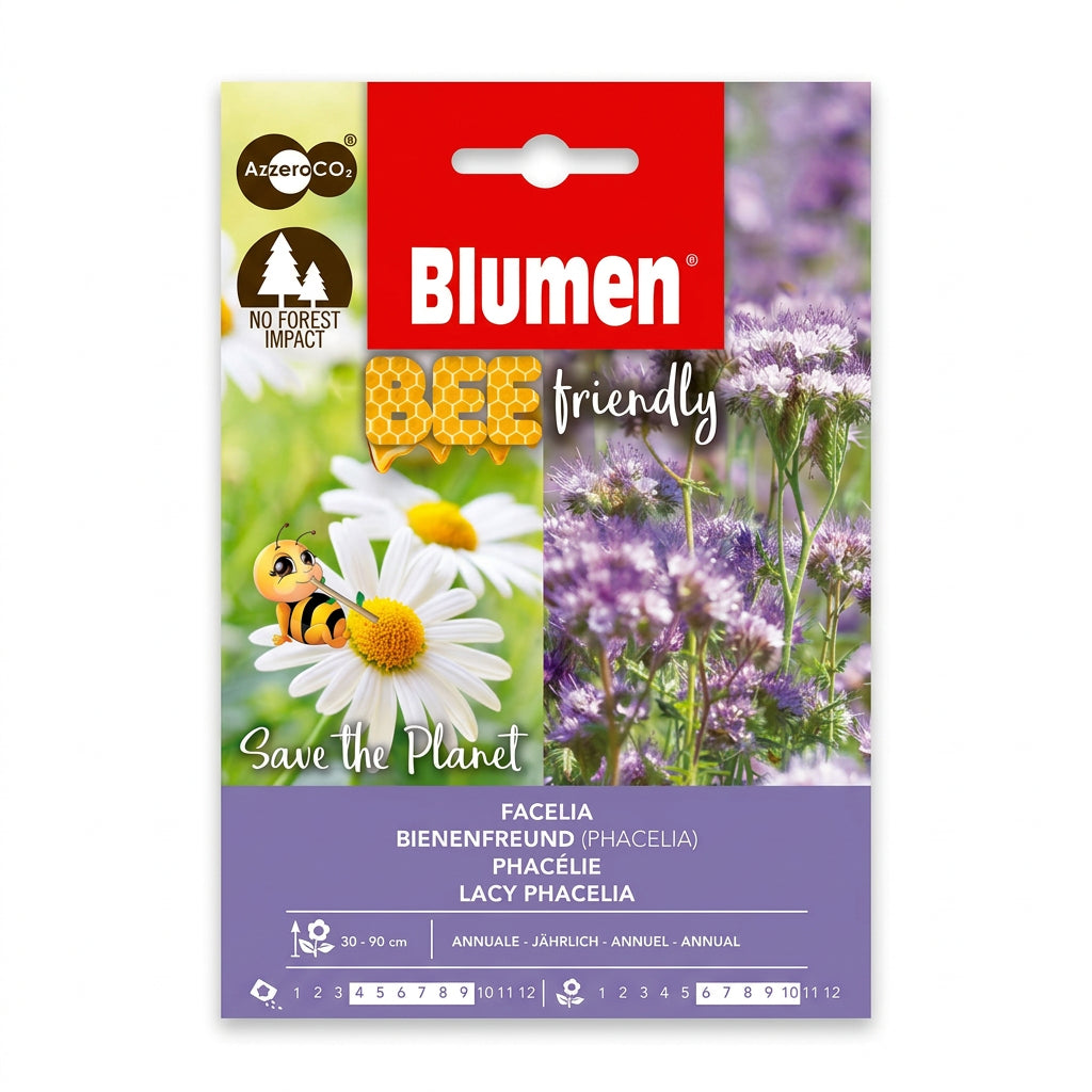 Blumen Phacelia Seeds – Bee-Friendly Pollinator Flowers
