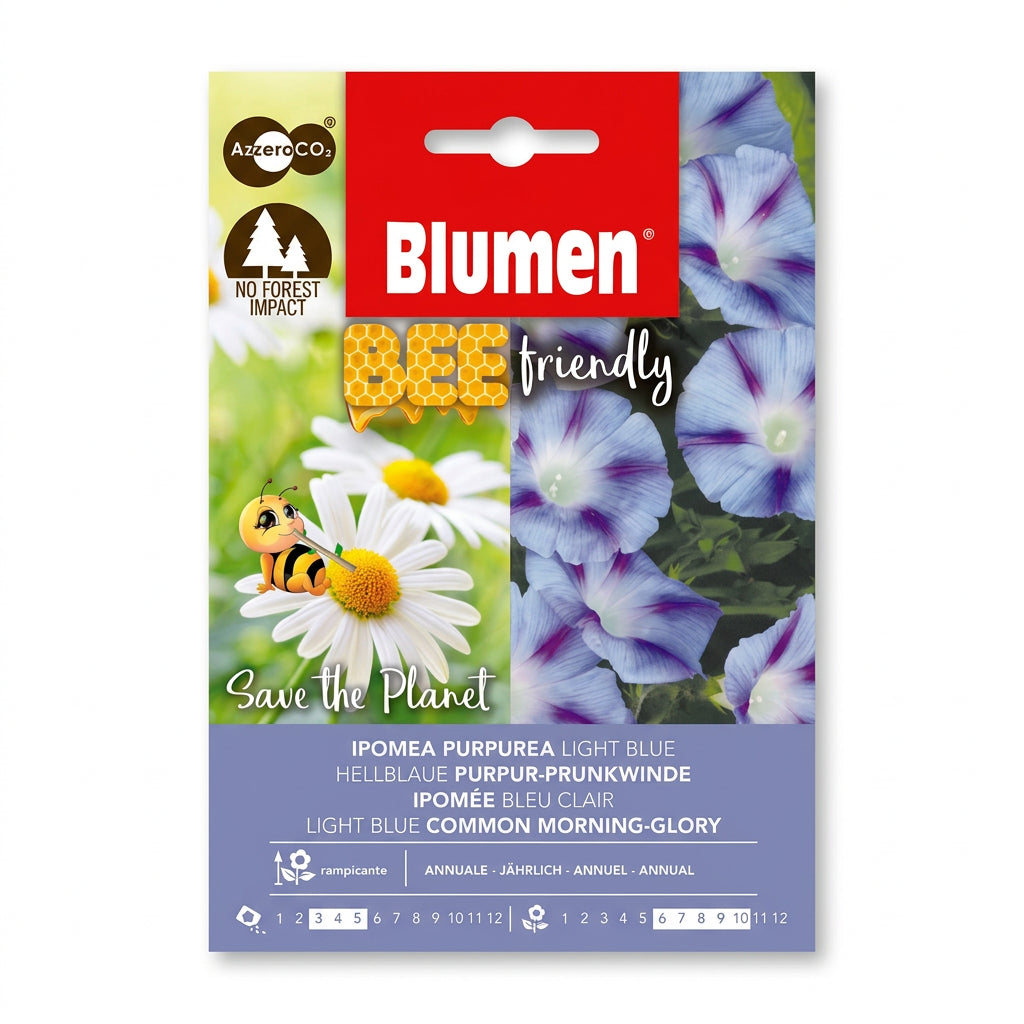 Blumen Light Blue Morning Glory Seeds – Bee-Friendly Climber