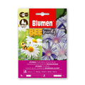 Blumen Venice Blue Morning Glory Seeds – Bee-Friendly Climber