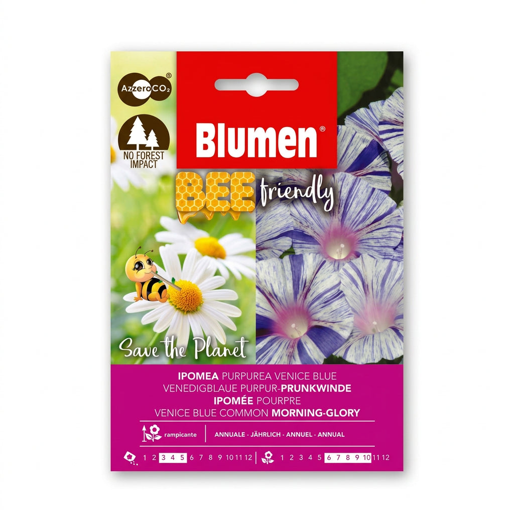 Blumen Venice Blue Morning Glory Seeds – Bee-Friendly Climber