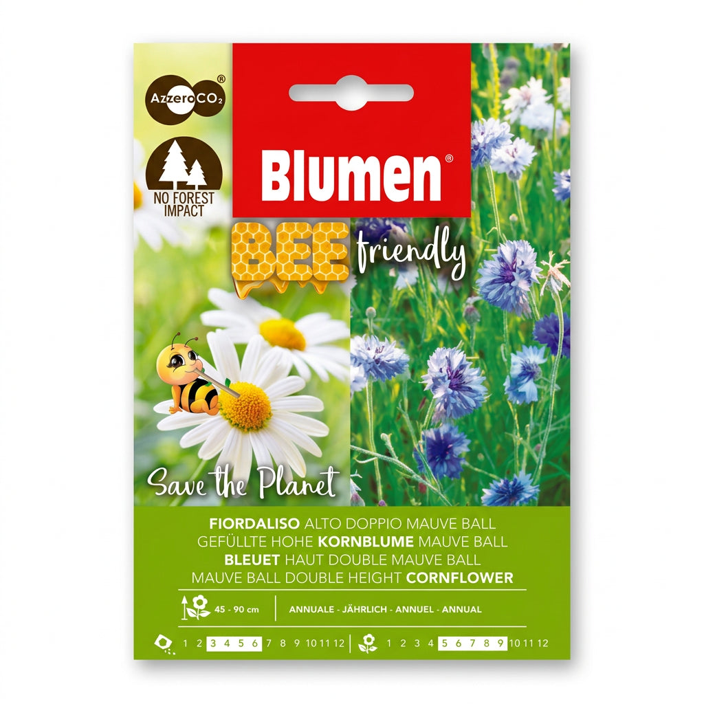 Blumen Mauve Ball Double Cornflower Seeds – Bee-Friendly product image