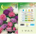 Hortus California Giant Aster Mix Seeds – Large Double Flowers product image