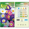 Hortus Dwarf Morning Glory Mix Seeds – Bella di Giorno