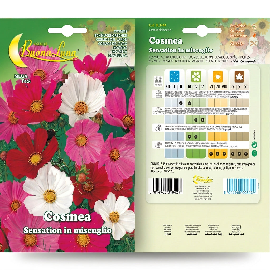 Hortus Cosmos Sensation Mix Seeds – Tall Colourful Flowers