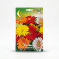 Hortus Giant Double Gerbera Mix Seeds – African Daisy