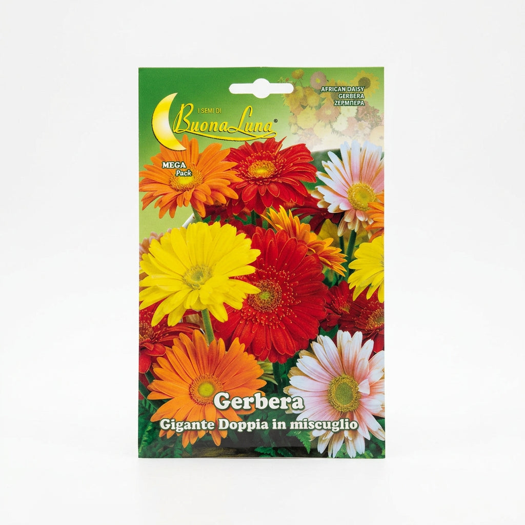 Hortus Giant Double Gerbera Mix Seeds – African Daisy