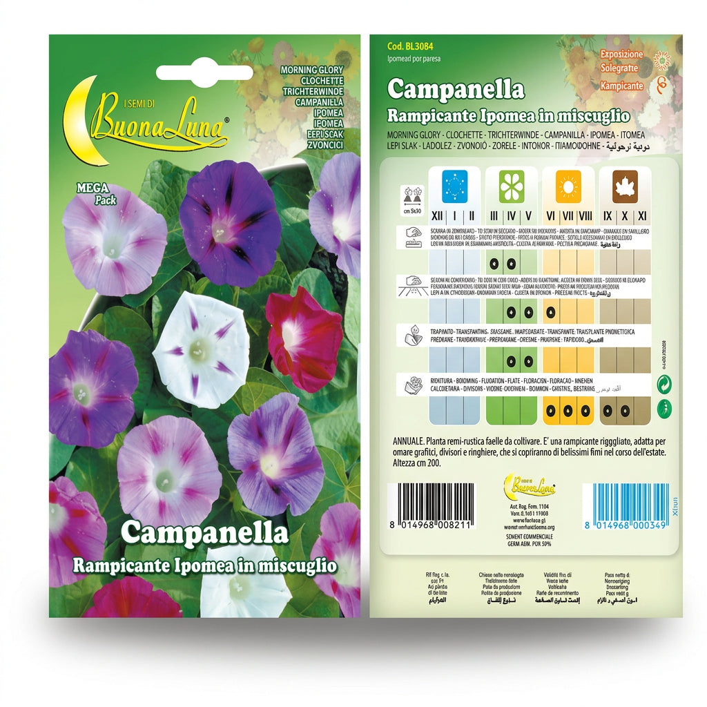 Hortus Climbing Morning Glory Mix Seeds – Ipomoea