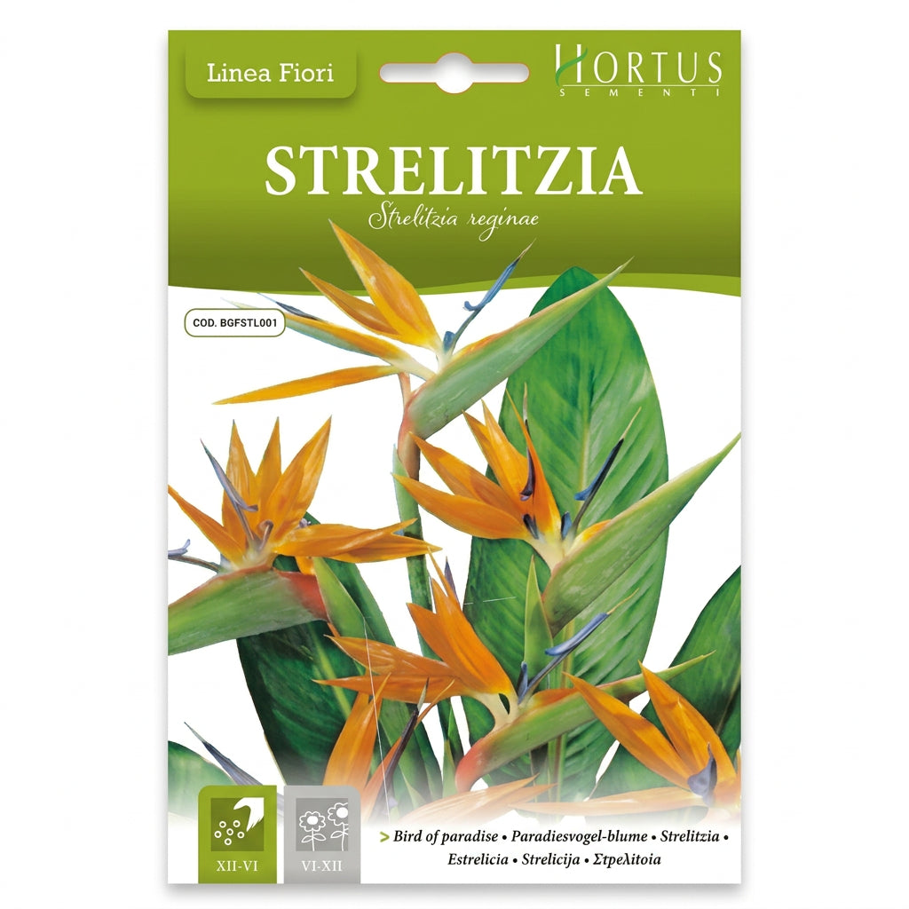 Seed packet for Hortus Elementus Strelitzia 'Linea Flori' bird of paradise flowers, featuring a green header and a photo of orange and green tropical flowers.