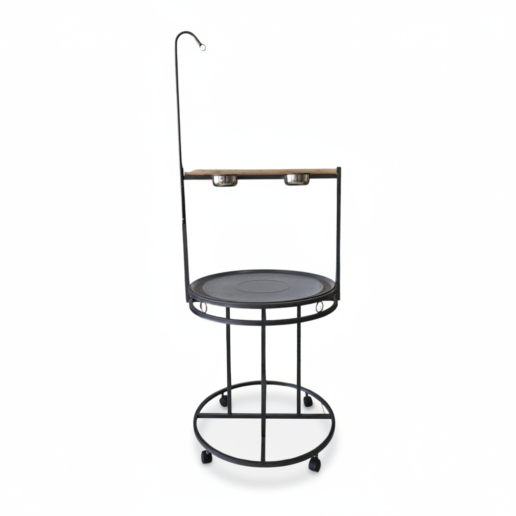 Large Macaw and african grey play stand