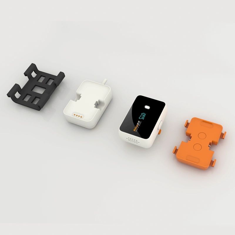 Pawfit 3 Basic Eco Bundle | GPS Dog Tracker & Water Bottle