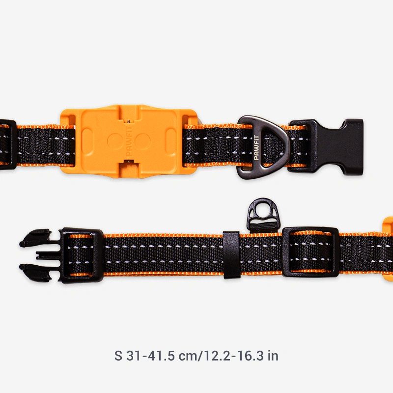 Pawfit 3 Dog Collar with Built-In Tracker Mount | Durable & Weatherproof ( Available in 4 Sizes )