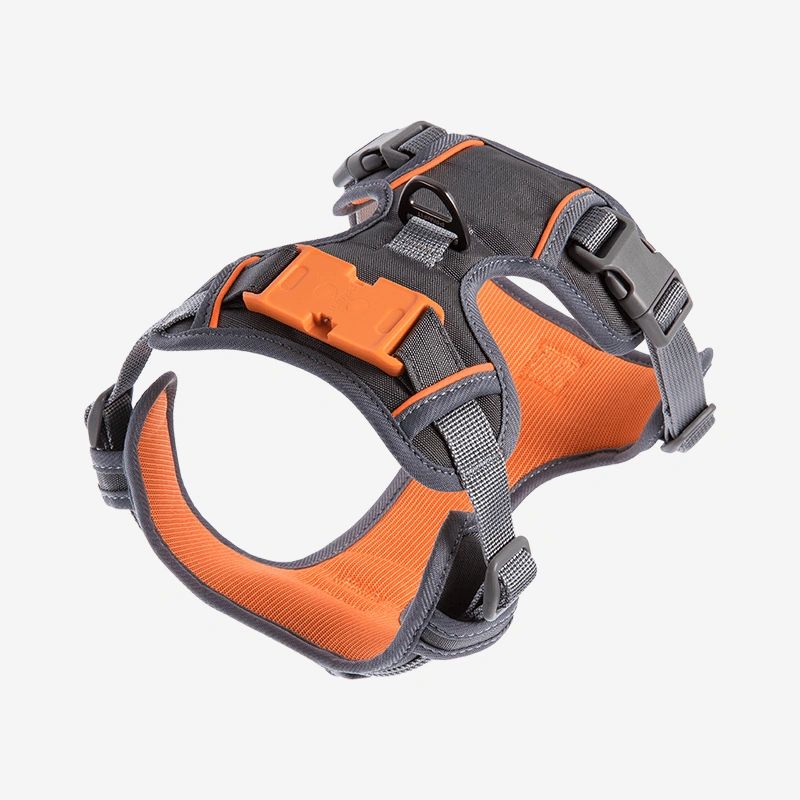 Pawfit 3 Dog Large Kit | Premium Heavy Duty Dog Tracker Bundle