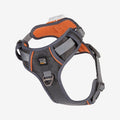 Pawfit 3 Dog Large Kit | Premium Heavy Duty Dog Tracker Bundle