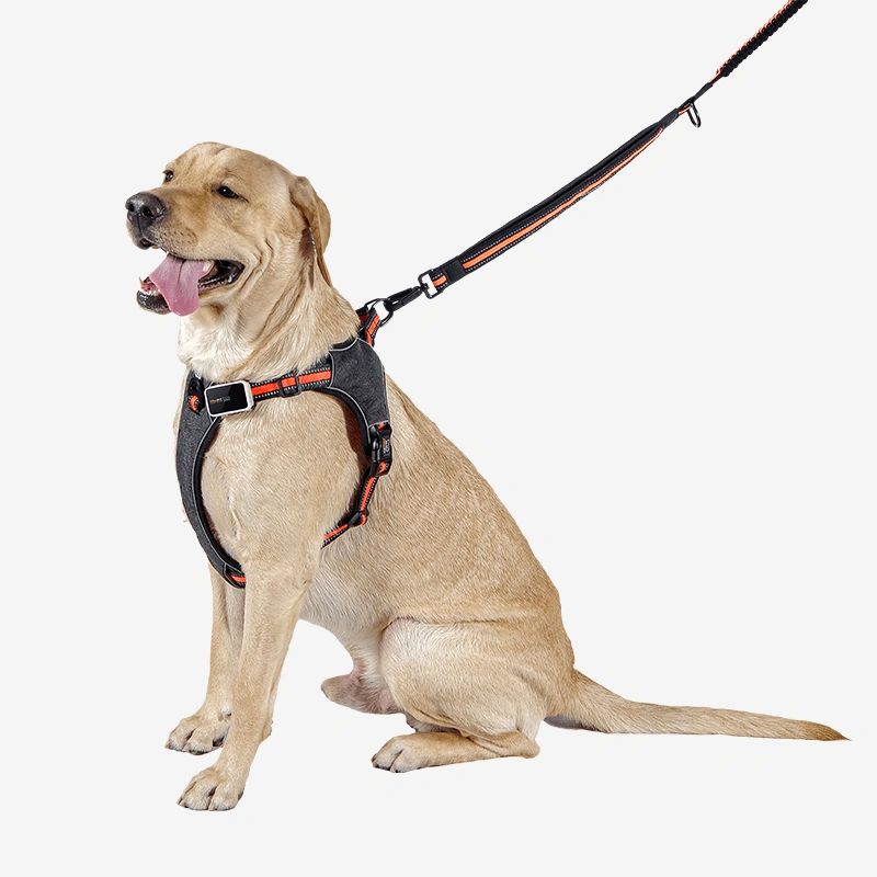 Pawfit 3 Dog Large Kit | Premium Heavy Duty Dog Tracker Bundle