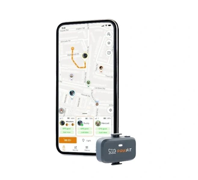 Pawfit Lite Cat GPS Tracker & Collar | Smallest 4G Activity Monitor | No More Missing Pets!