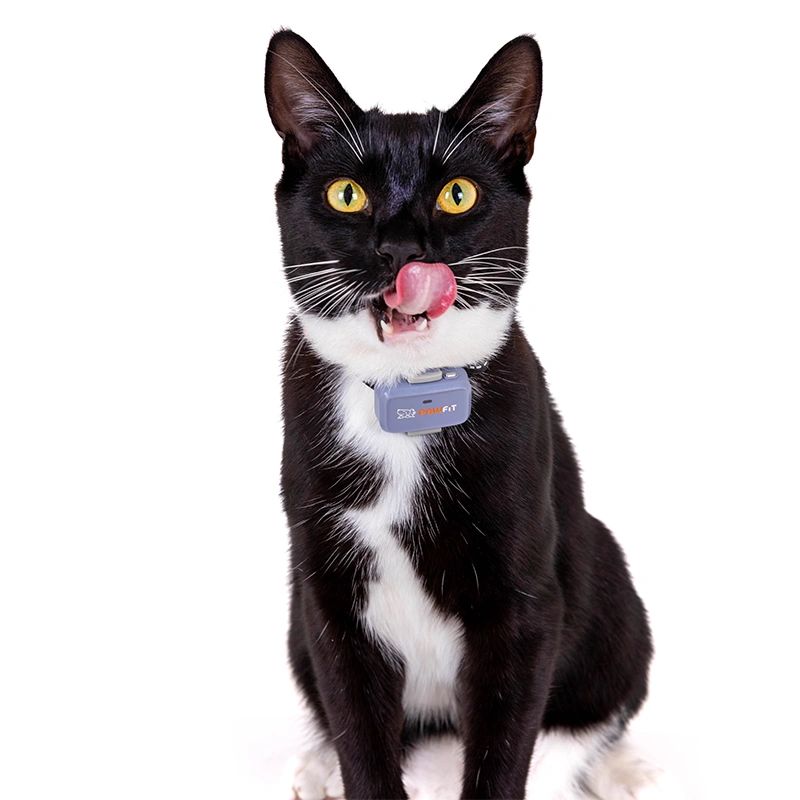 Pawfit Lite Cat GPS Tracker & Collar | Smallest 4G Activity Monitor | No More Missing Pets!