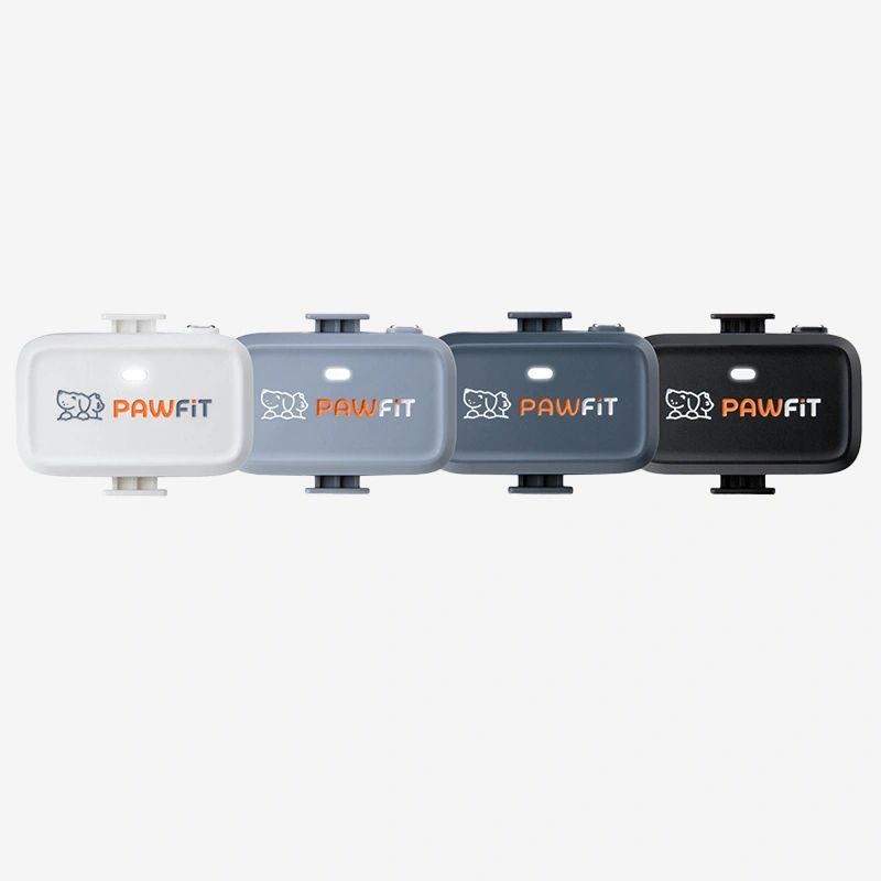 Pawfit Lite Cat GPS Tracker & Collar | Smallest 4G Activity Monitor | No More Missing Pets!
