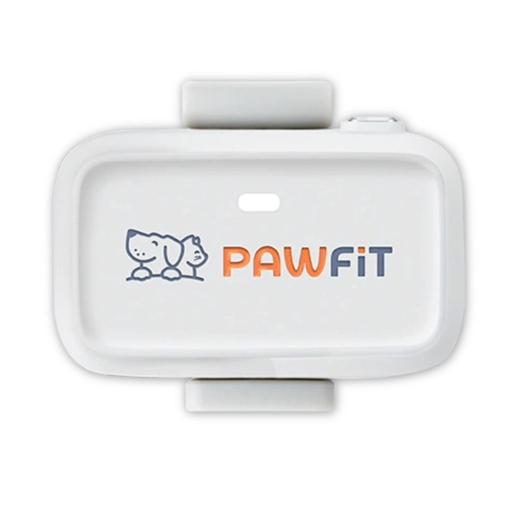 Pawfit Lite Cat Kit | Smallest GPS Cat Tracker + Spare Collar