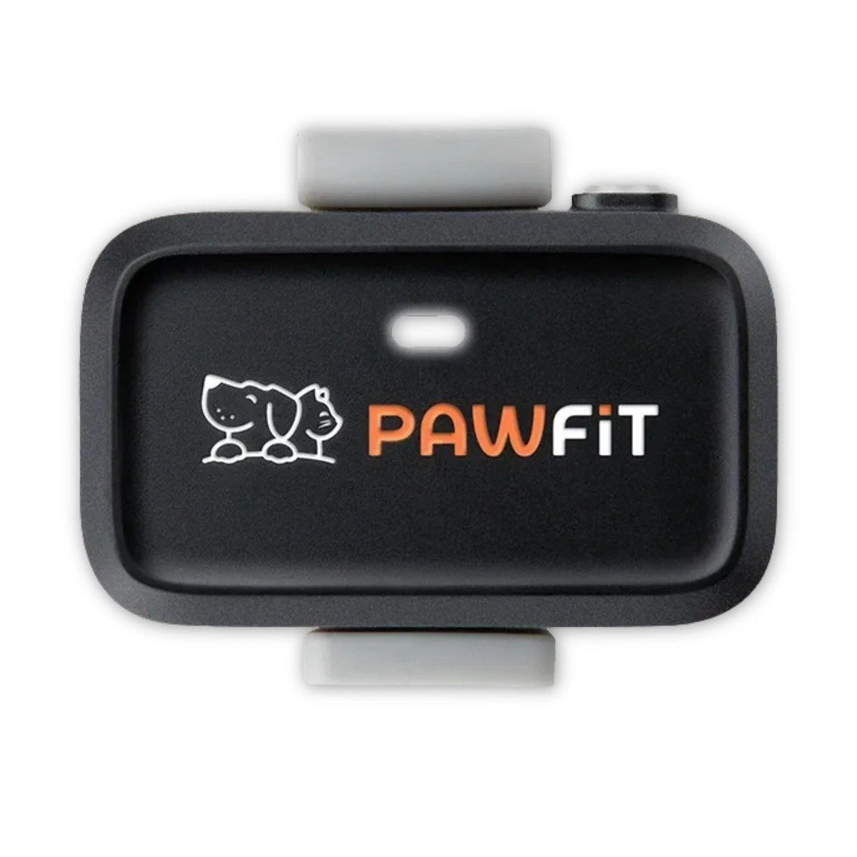 Pawfit Lite Dog Kit | Ultra-Light GPS Tracker & Bottle Bundle