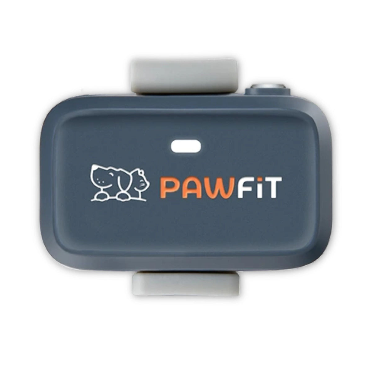 Pawfit Lite GPS Tracker for Dogs | Smallest 4G Activity Monitor | No More Missing Pets!