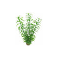 SuperFish Easy Plant High Artificial Aquarium Plant 30cm – A4070265