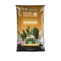 A bag of TerComposti Triplio Grasse succulent and cactus specific compost, featuring a brown and gold design with illustrations of various cacti and succulents.