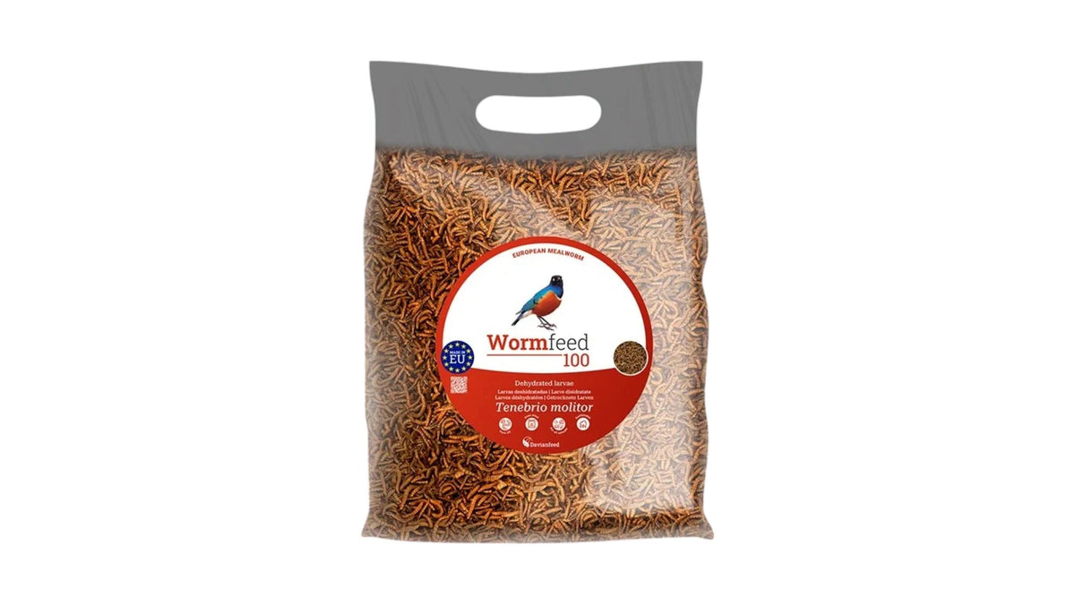 Larvae Of Tenebrio Wormfeed 100, 1kg ( Top Quality Dried Meal Worms )