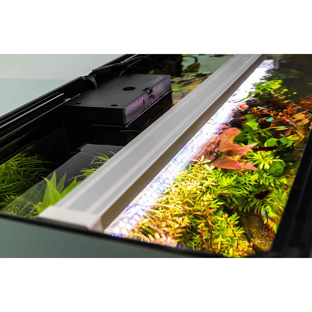 Askoll Opera 80L Smart Aquarium & Cabinet Options | dPet.mt